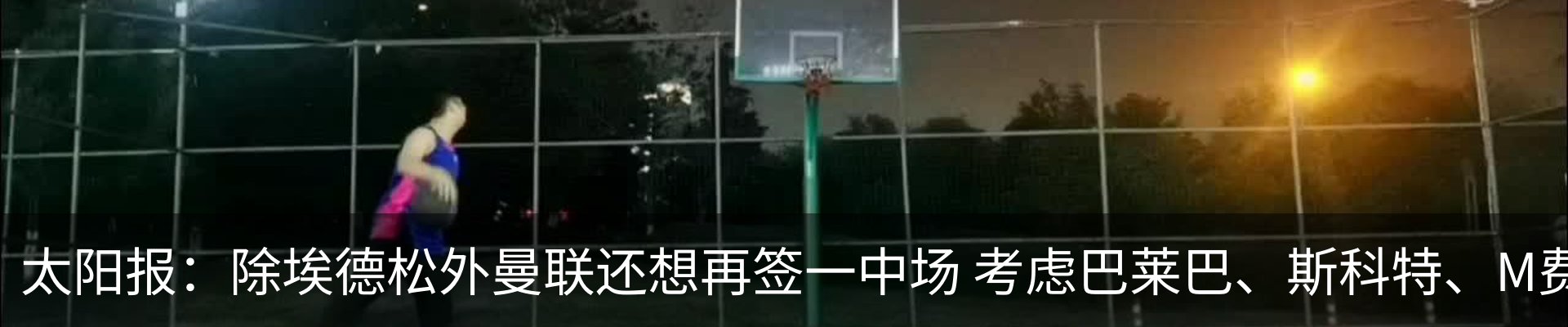新闻动态