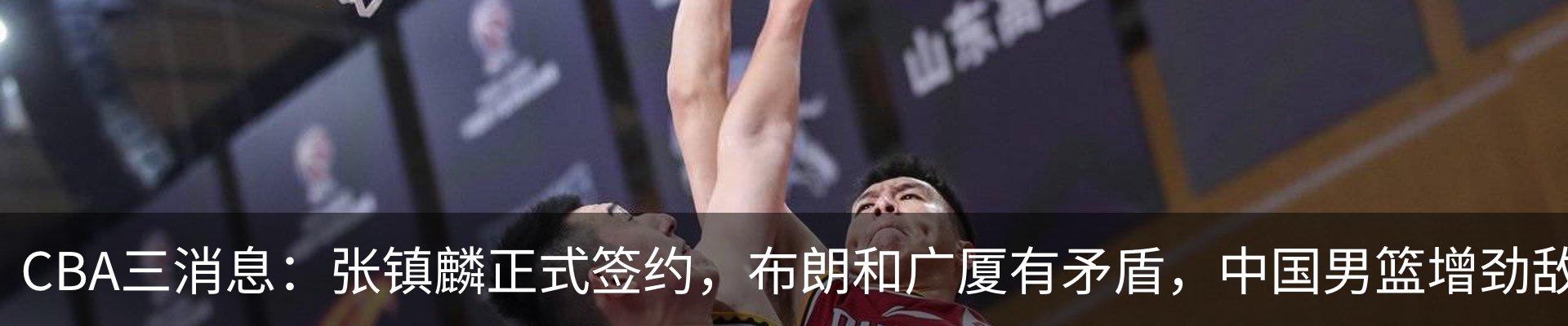 新闻动态